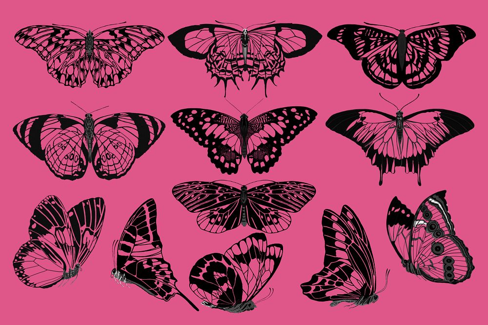 Aesthetic vintage butterfly set, editable EA. Séguy’s artwork, remixed by rawpixel