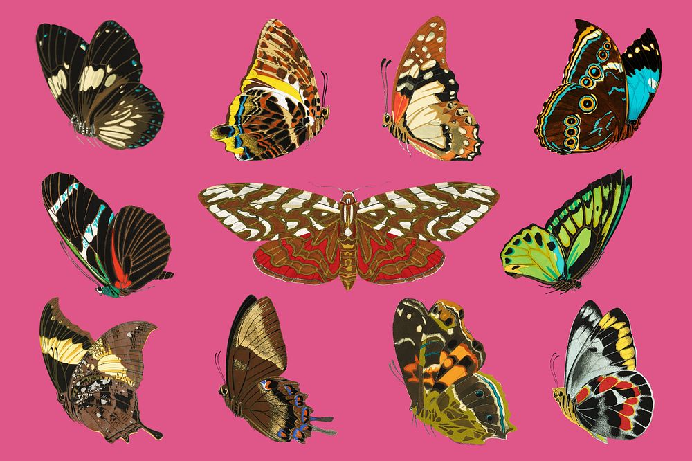 Aesthetic butterfly, editable vintage insect collage element set, remixed from the artwork of EA. Séguy