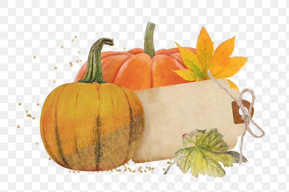 Editable pumpkin notepaper element, autumn design