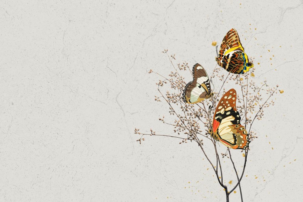 Autumn butterfly background, editable gray texture border, remixed by rawpixel