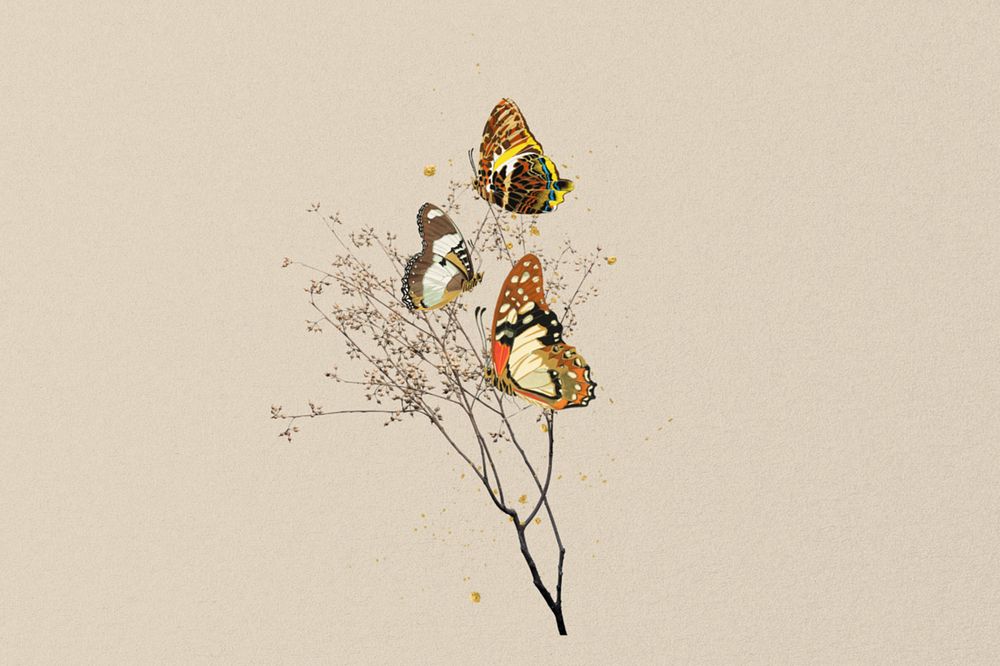 Autumn aesthetic butterfly background, editable beige design, remixed from the artwork of E.A. Séguy