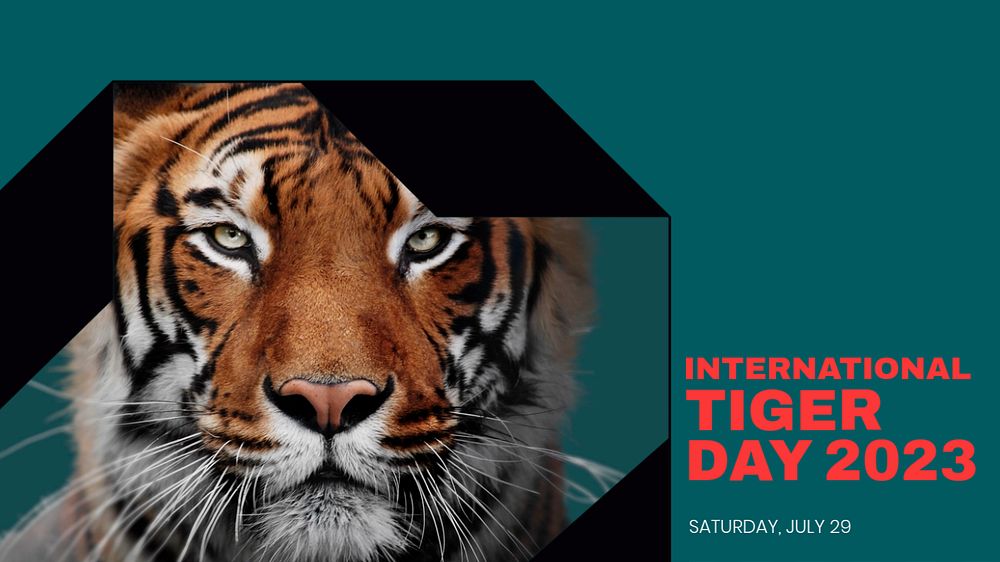 Tiger day blog banner template, editable text & design