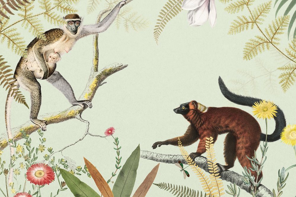 Vintage jungle monkeys background, wildlife border frame, editable design