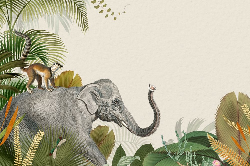 Vintage jungle elephant background, wild animal border, editable design