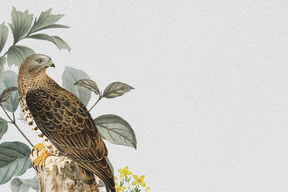 Vintage brown bird background, leaf branch border, editable design