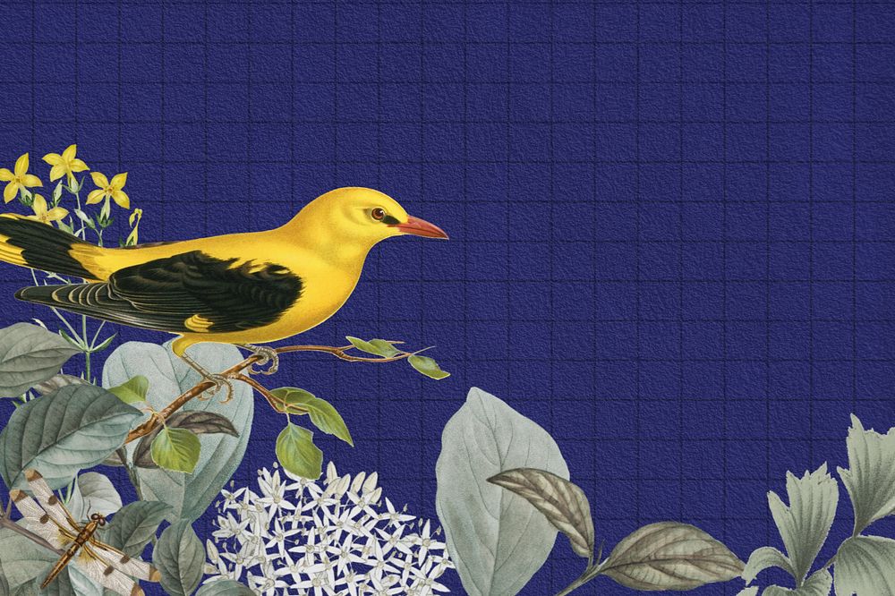 Vintage yellow bird background, aesthetic botanical border, editable design