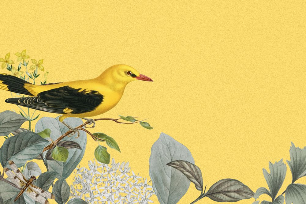 Vintage yellow bird background, aesthetic botanical border, editable design