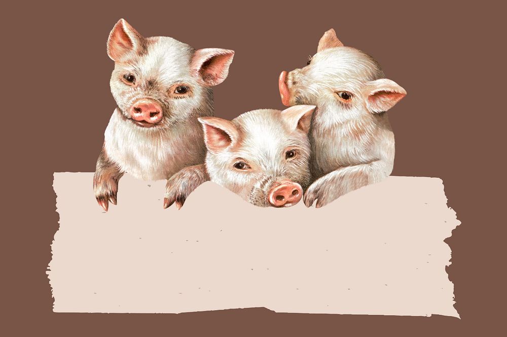 Three little pigs background, blank sign, editable design. Remixed by rawpixel.