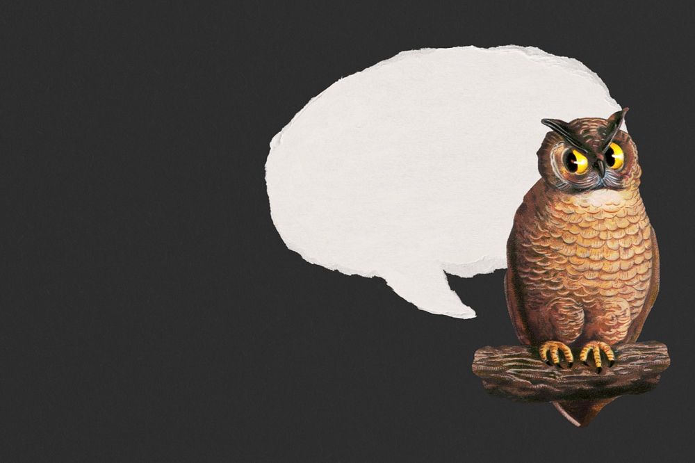 Speech bubble background, owl border illustration, editable design. Remixed by rawpixel.