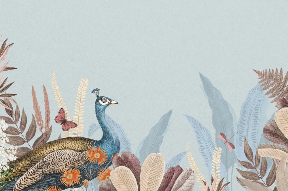 Blue aesthetic peacock background, botanical border, editable design