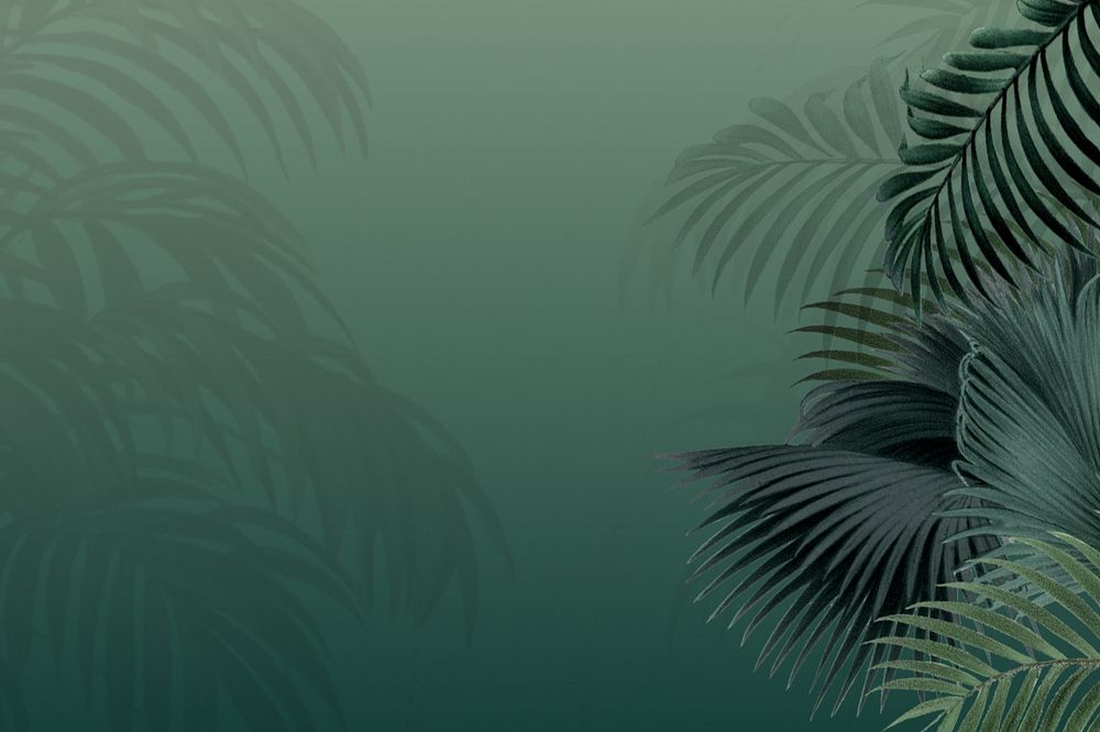 Green palm leaf background, tropical border, editable design