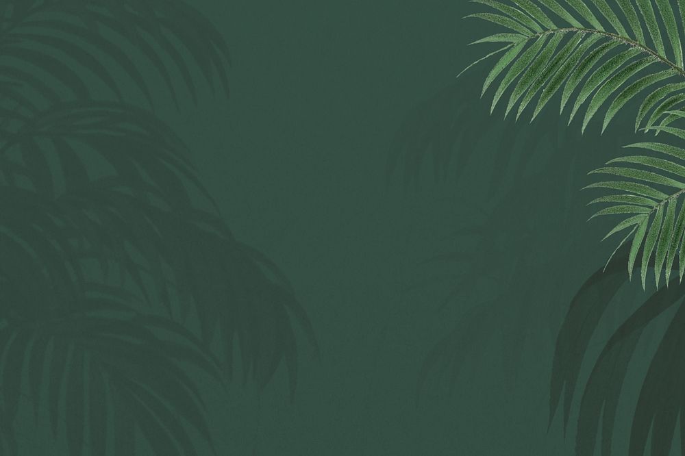 Green palm leaf background, tropical border, editable design