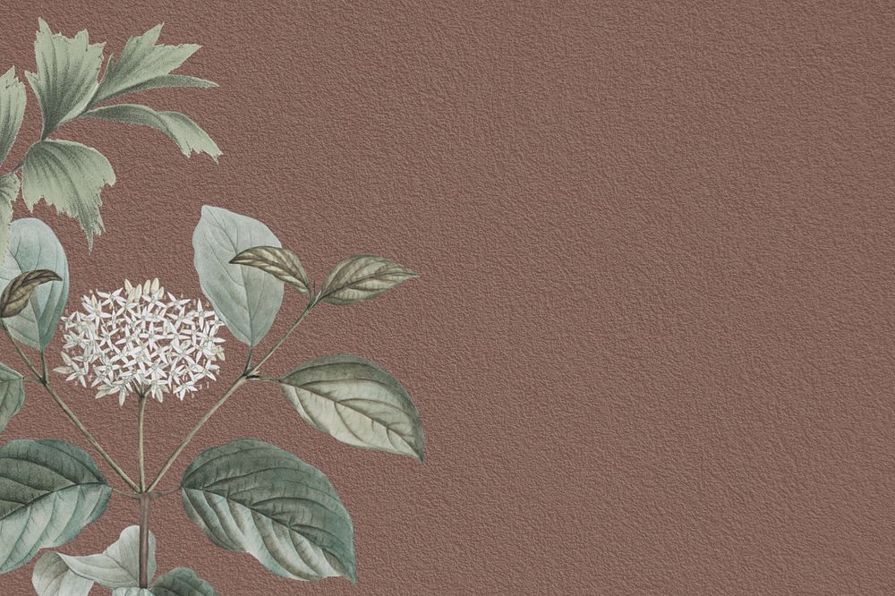 Vintage elderflower background, brown textured, editable design