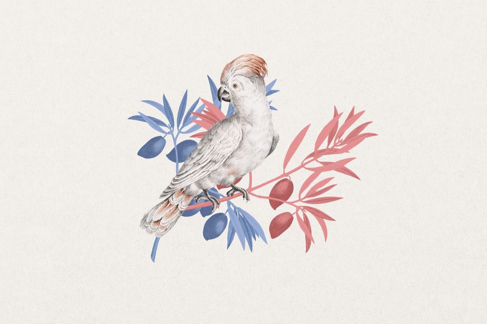 Vintage cockatoo bird, exotic animal sticker, editable design