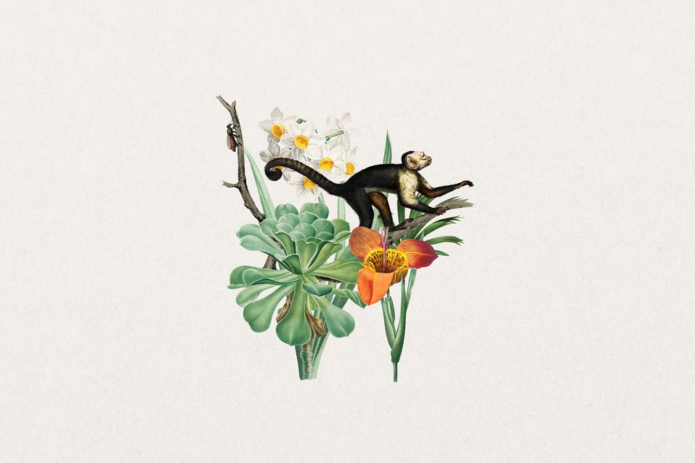 Vintage monkey sticker, wildlife botanical remix , editable design