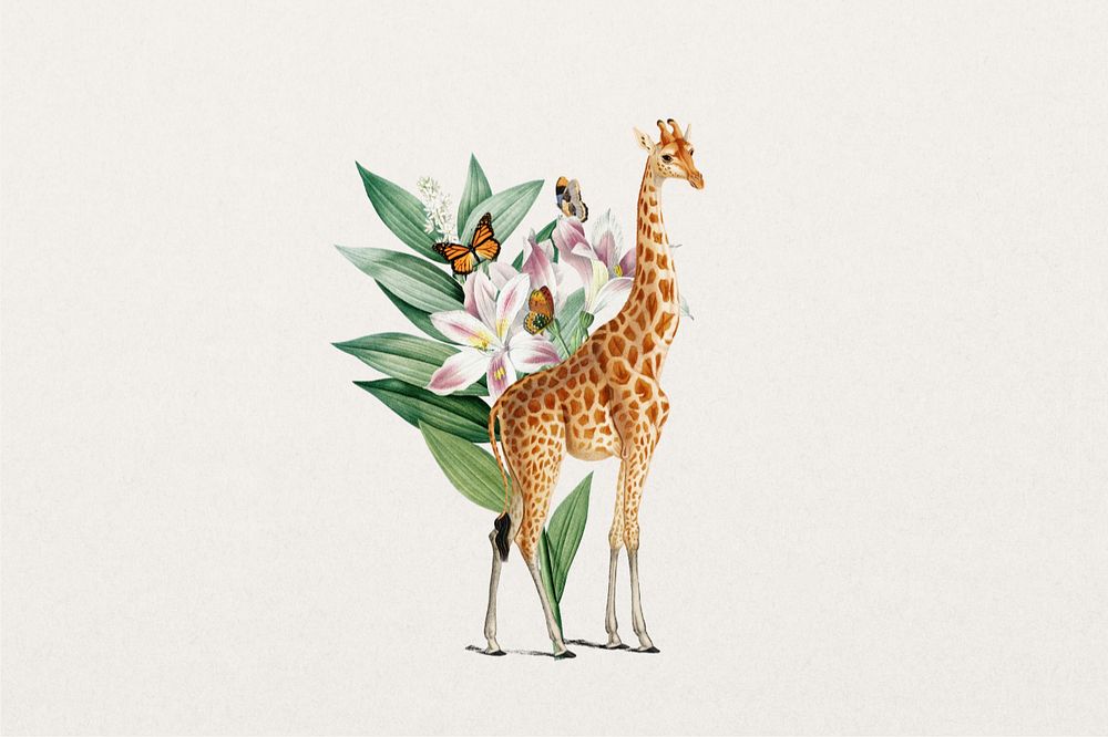 Giraffe sticker, wildlife botanical remix, editable design