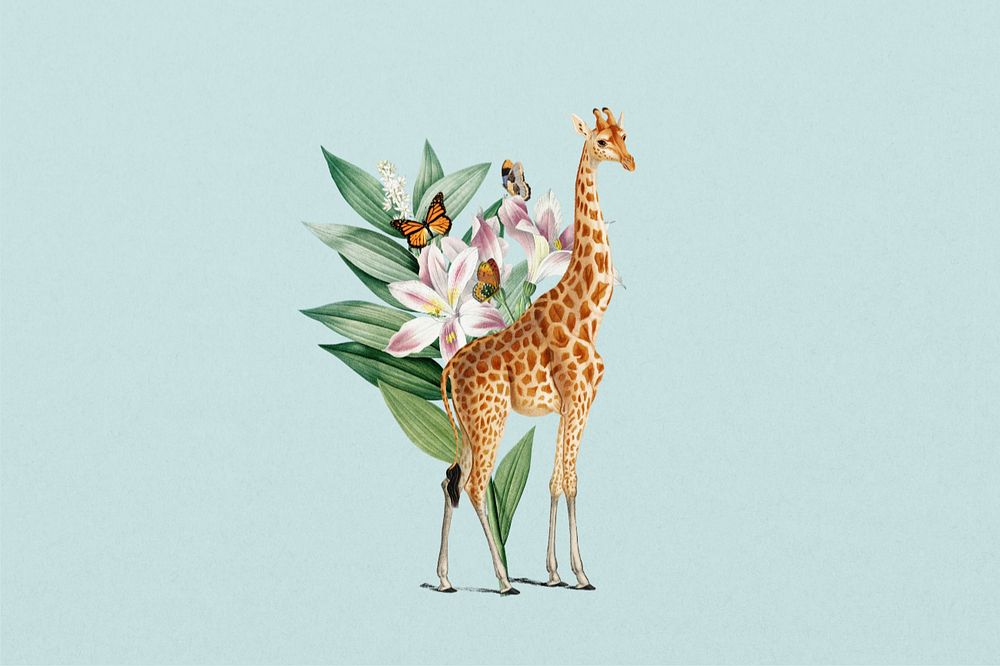 Giraffe sticker, wildlife botanical remix, editable design