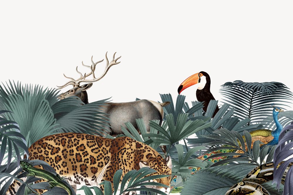 Vintage jungle animal background, wildlife border, editable design