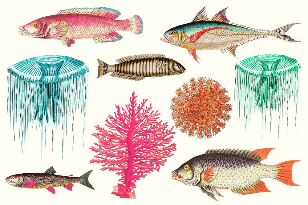 Exotic fish, marine life sticker set, editable design