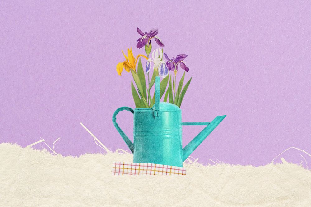 Colorful iris flower, editable teal watering can collage element remix design