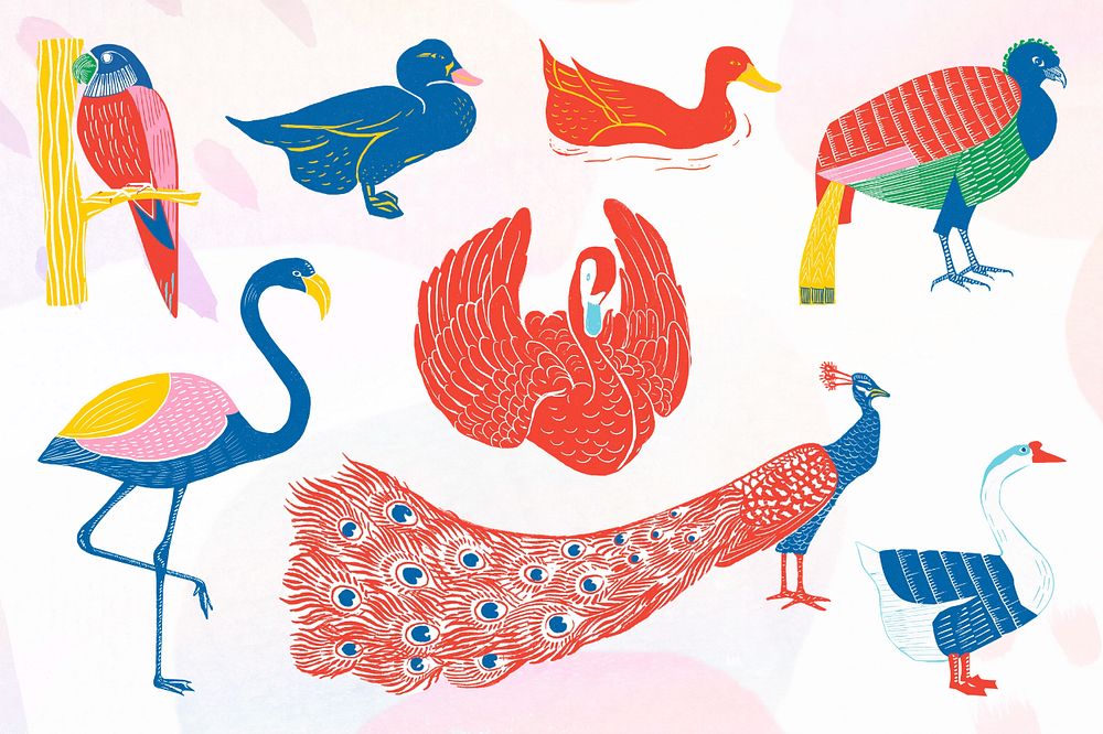 Colorful birds illustration collage element set