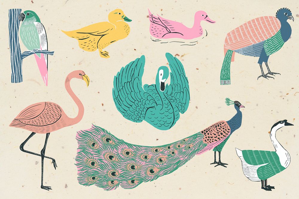 Aesthetic birds illustration collage element set