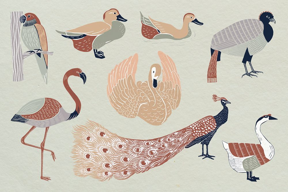 Wild birds illustration collage element set