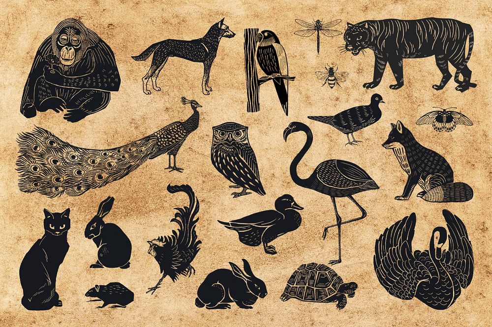 Black wildlife illustration collage element set