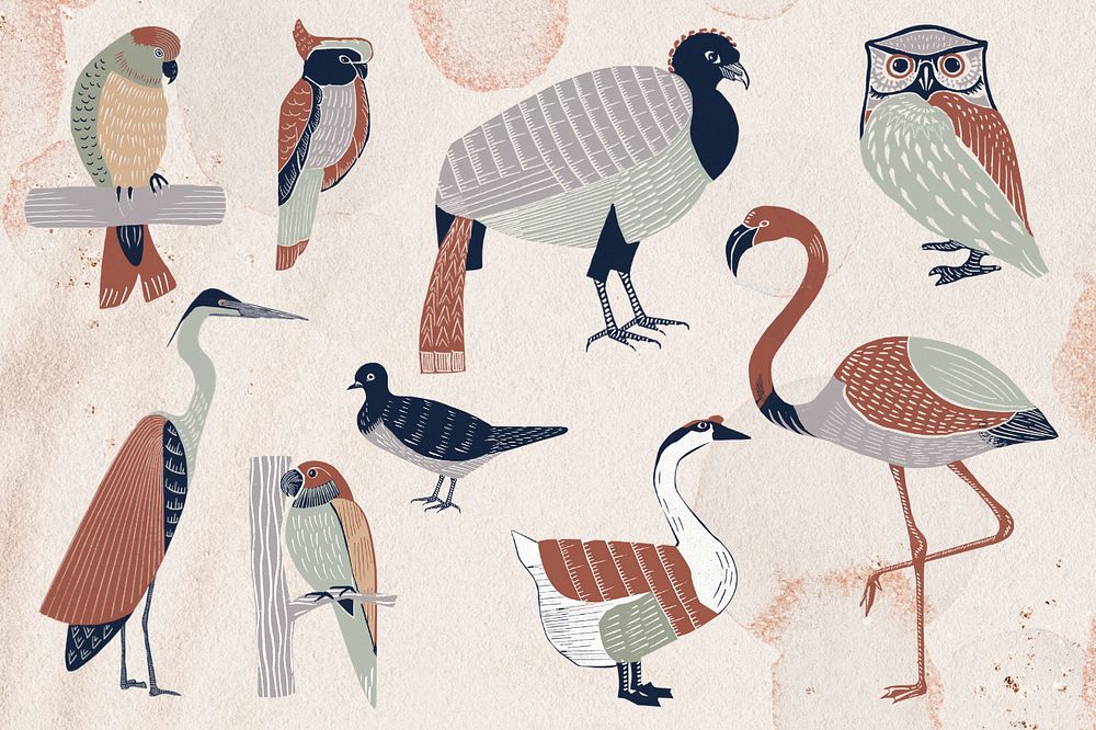 Wild birds illustration collage element set