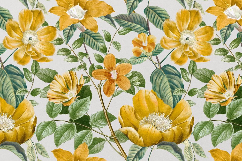 Vintage yellow flower pattern background, editable aesthetic botanical illustration by Pierre Joseph Redouté. Remixed by…