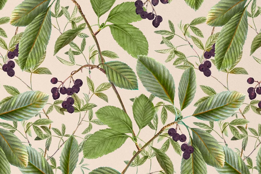 Vintage leaf pattern background, editable aesthetic illustration by Pierre Joseph Redouté. Remixed by rawpixel.