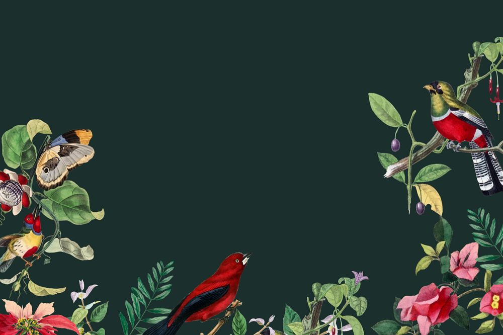 Tropical birds border background, botanical black editable design