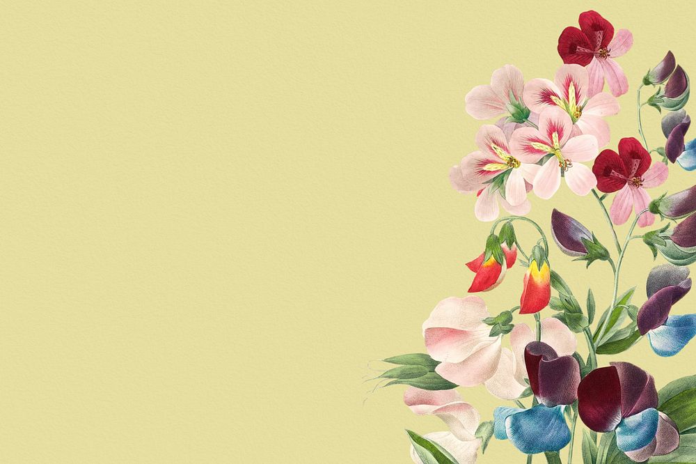 Vintage floral border, editable sweet pea flower illustration by Pierre Joseph Redouté. Remixed by rawpixel.