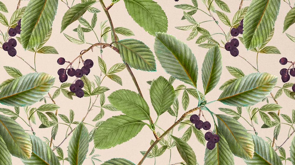 Editable leaf pattern desktop wallpaper, vintage botanical illustration by Pierre Joseph Redouté. Remixed by rawpixel.