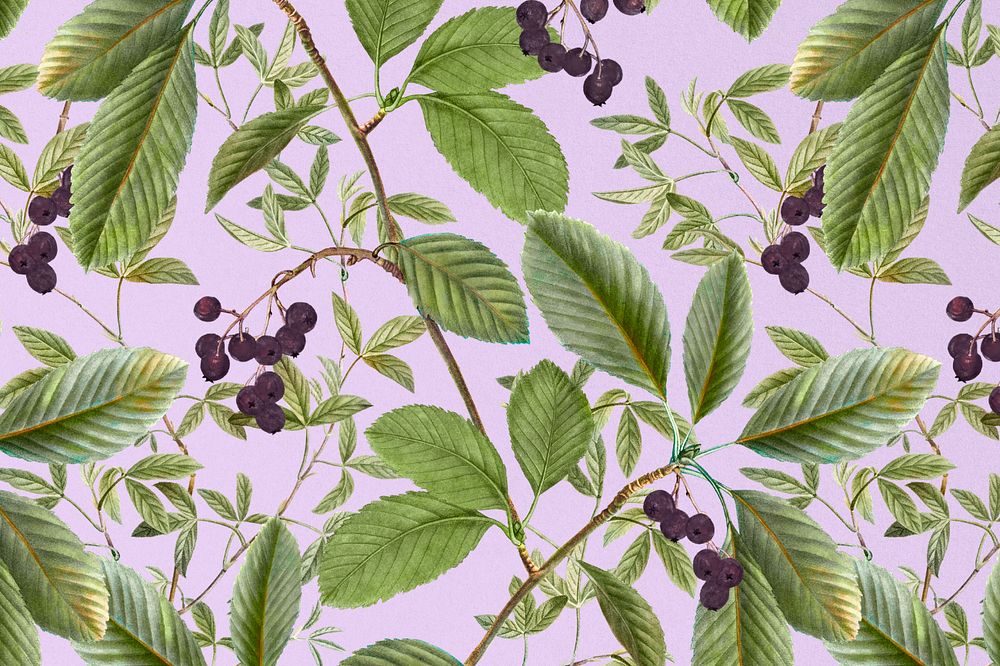 Aesthetic leaf pattern background, editable vintage illustration by Pierre Joseph Redouté. Remixed by rawpixel.