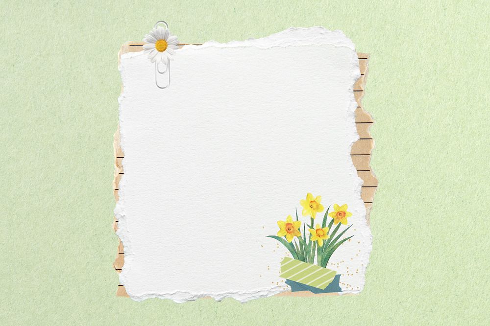 Ripped paper, editable daffodil flower collage element remix design