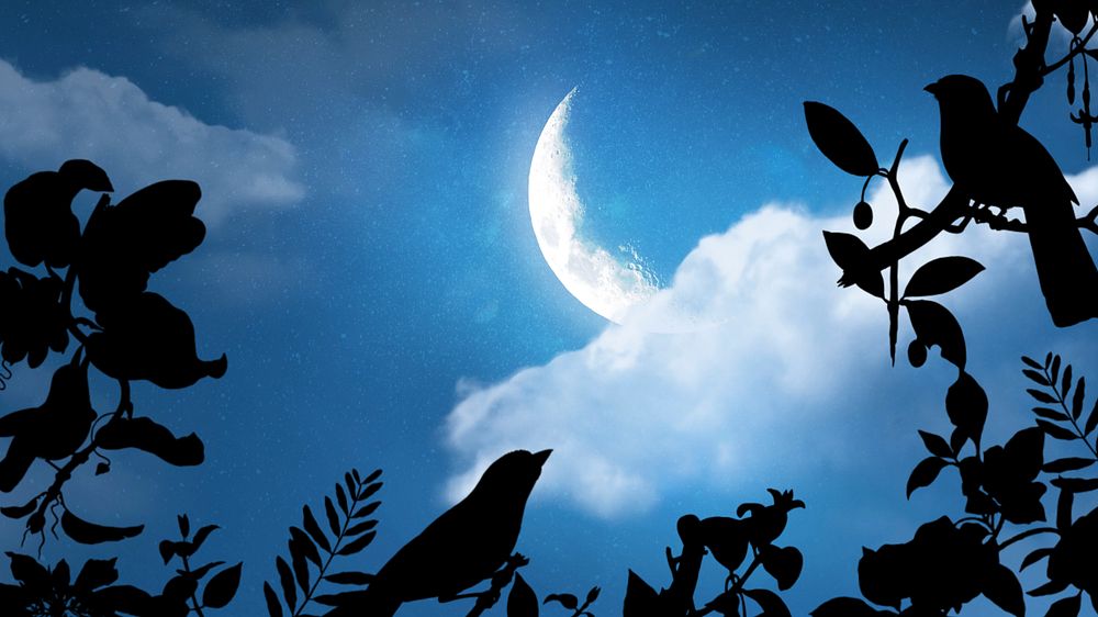 Crescent moon sky desktop wallpaper, birds illustration editable design