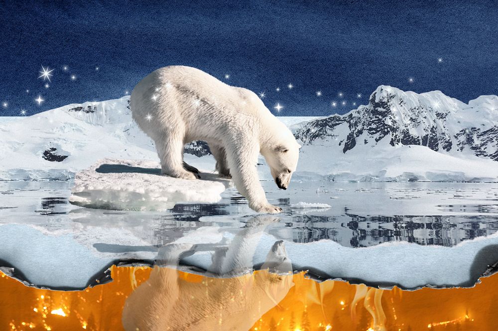 Polar bear environment background, north pole aesthetic, editable design