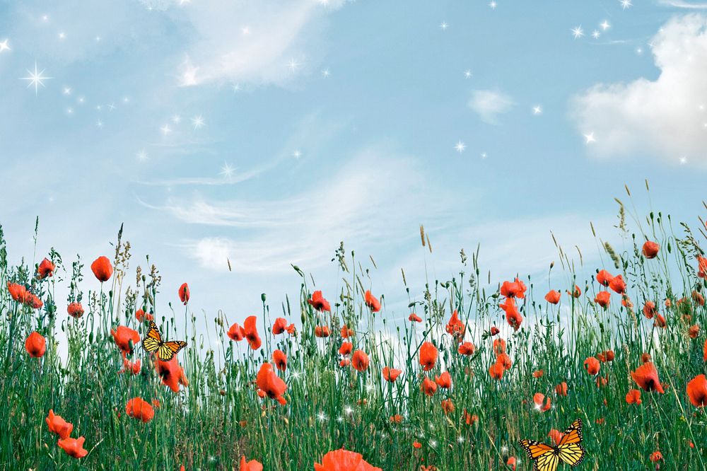 Aesthetic sky background, wildflower border remix, editable design