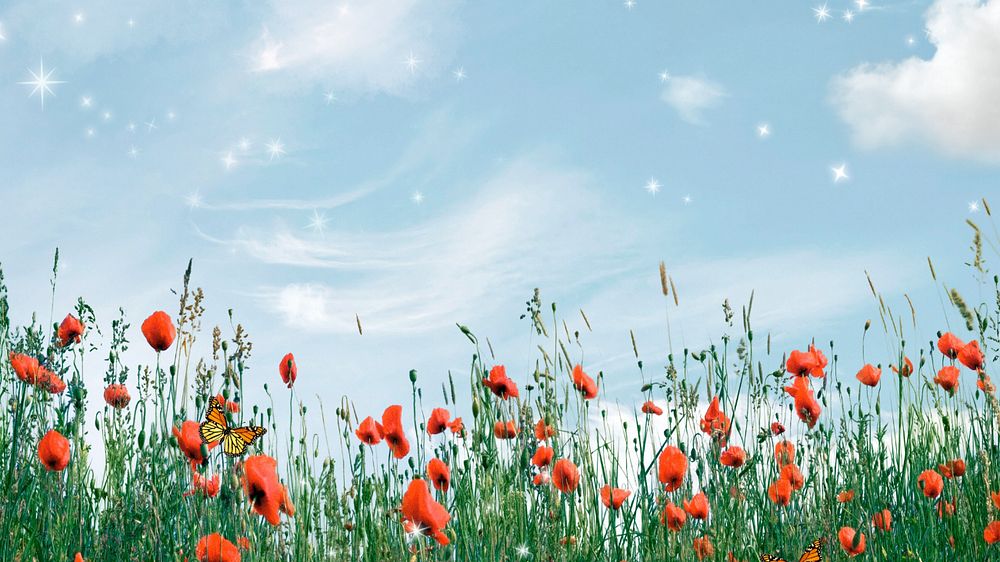 Aesthetic sky HD wallpaper, wildflower border remix background, editable design