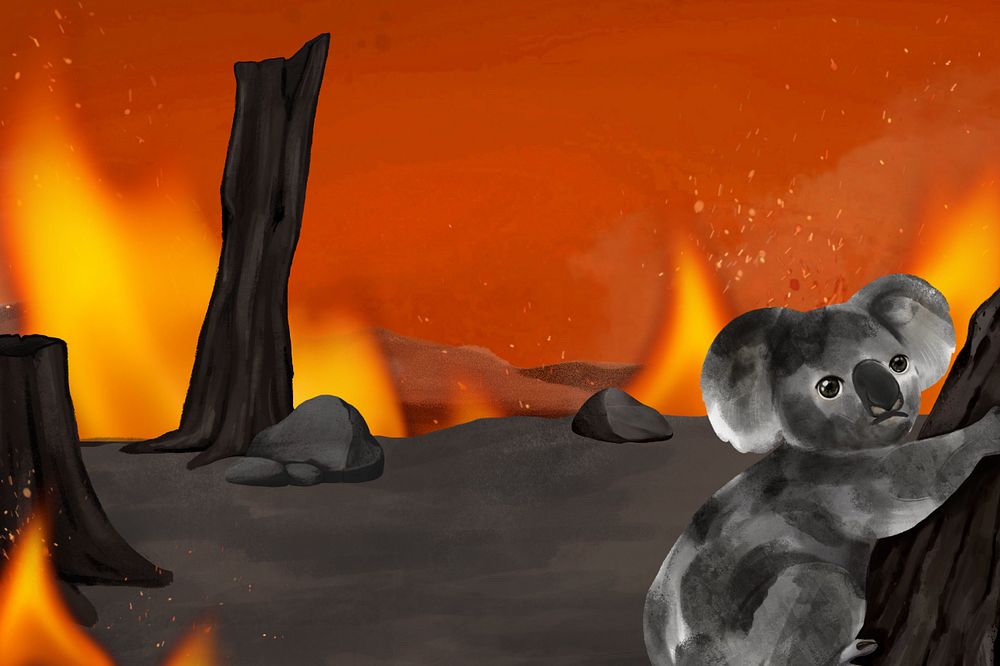 Koala, bushfire background, customizable aesthetic illustration remix