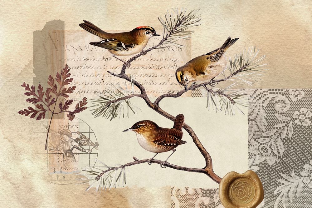 Autumn bird collage background, nature aesthetic, editable design