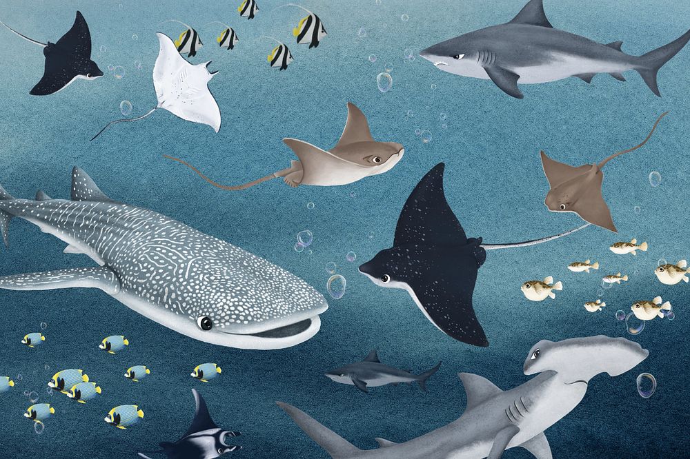 Marine life animals, aesthetic illustration, editable design