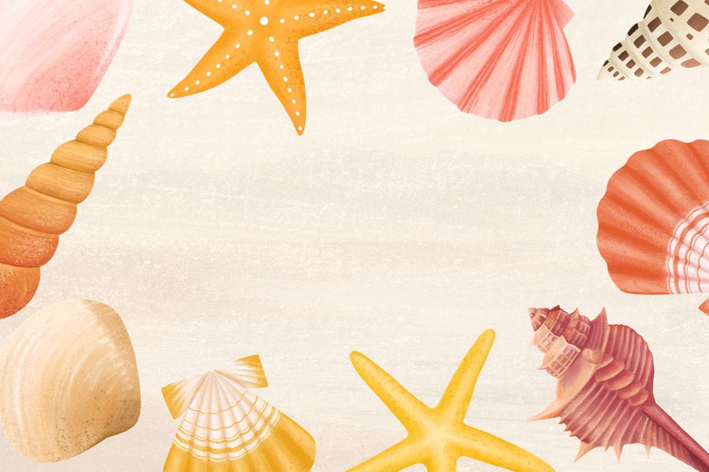 Seashell frame, sand background, editable illustration border