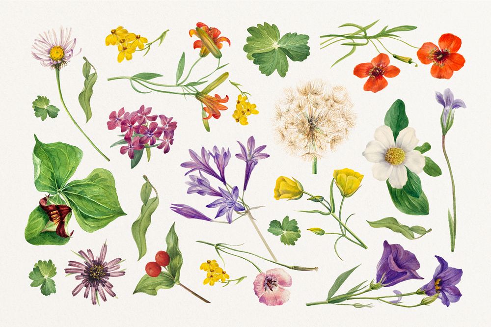 Vintage watercolor botanical, editable illustration set