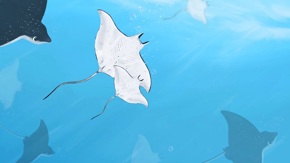 Stingray underwater world desktop wallpaper, customizable illustration background 