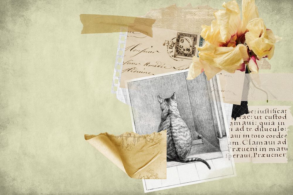 Vintage cat flower background, paper collage, editable design