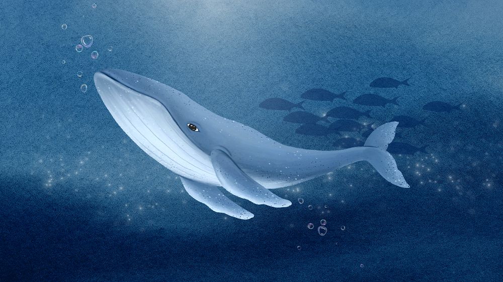 Humpback whale, ocean desktop wallpaper, customizable illustration background 