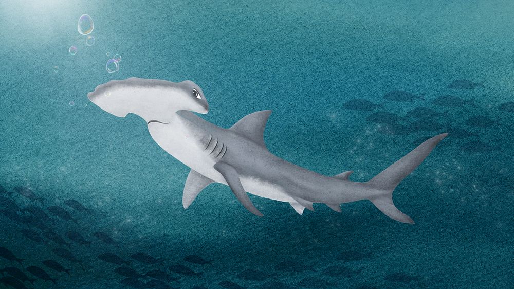 Hammerhead shark desktop wallpaper, customizable illustration background 