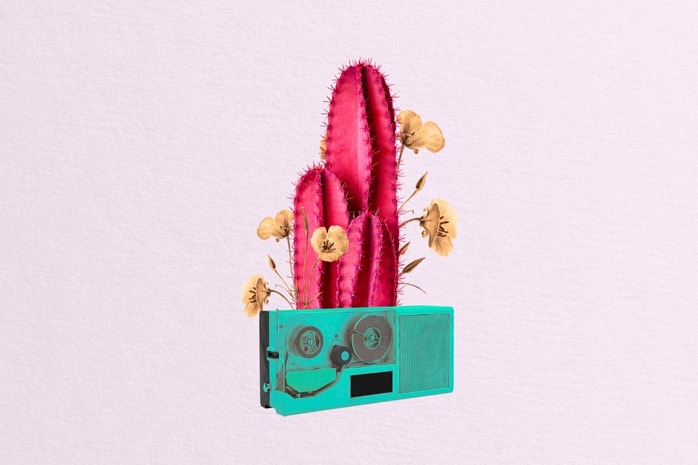 Editable retro cactus and VHS collage